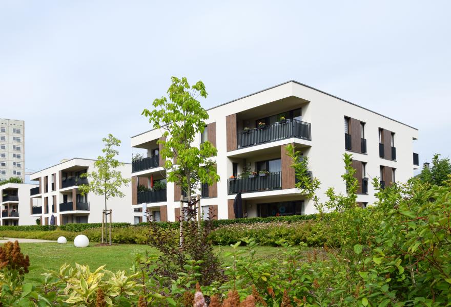 Neubau Wohnquartier "Franklin Garden"